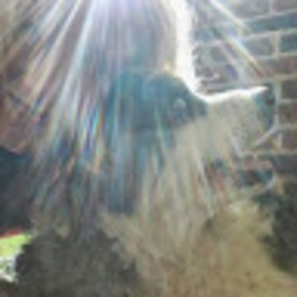 Meet your Posher, Renae - Picture 1 of 1